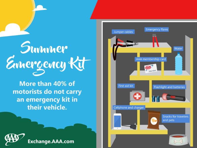 Summer Emergency Car Kit