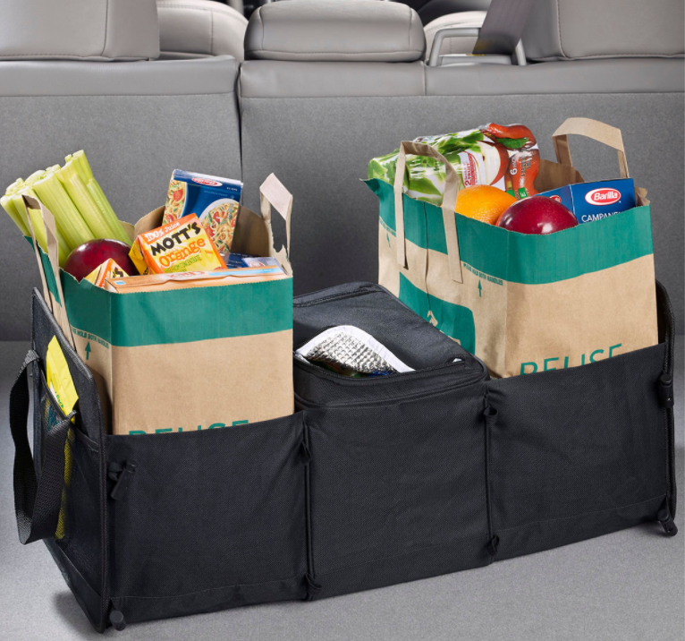 car essentials for organized travel