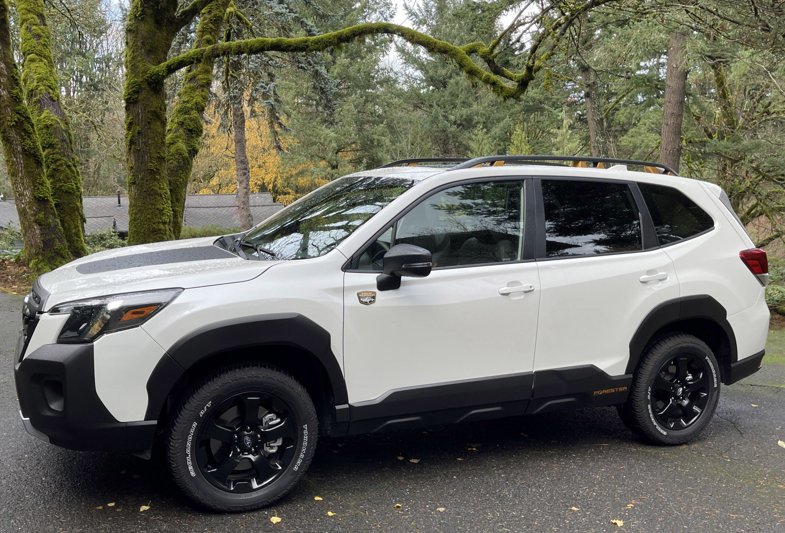 white subaru forester wilderness