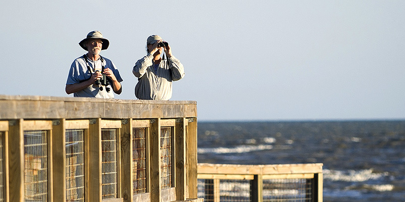 Texas is for Bird Lovers Spring Paddling and Birding in Beaumont