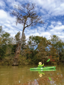 kayaker birding in pine island bayou