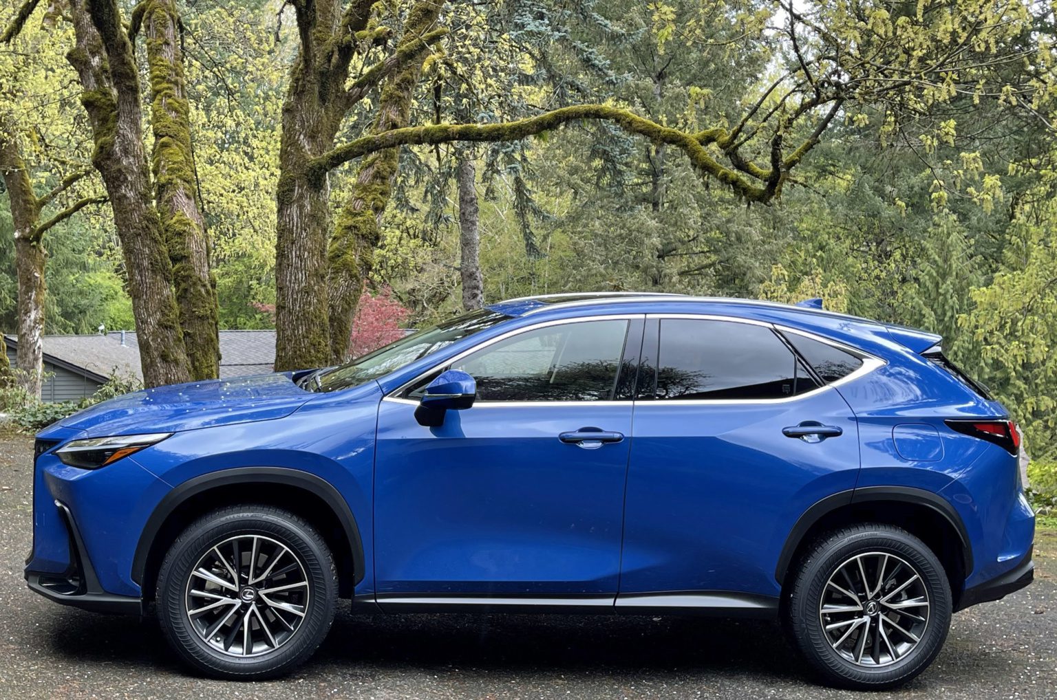 2022 Lexus Nx 250 Awd Luxury Aaa Oregonidaho 1092