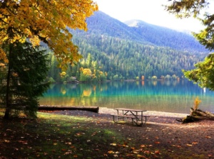 a perfect place to enjoy fall color with a cup of coffee.