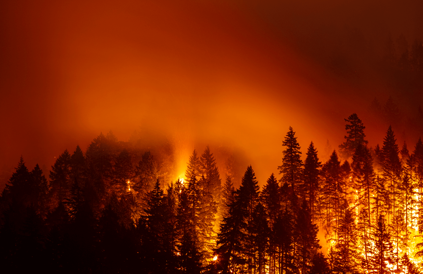 Protecting You And Your Home From Wildfires Aaa Oregonidaho 7314