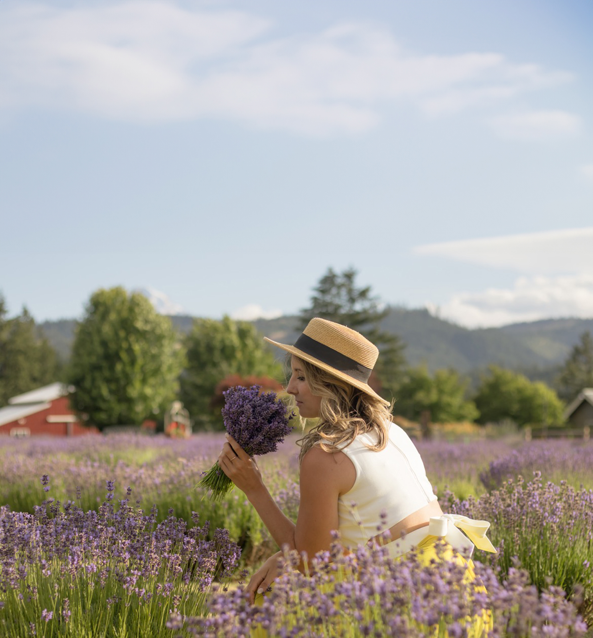 On the Lavender Trail: Stop and smell the flowers at farms and ...