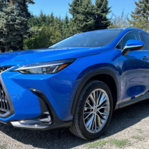 2024 Lexus NX 350h Luxury AWD