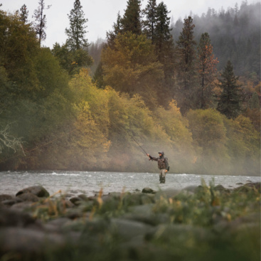 Rogue_River_Fish_2.Credit.Jared_Hail