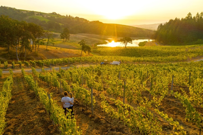 Web-Edit_Momtazi Vineyard at sunrise