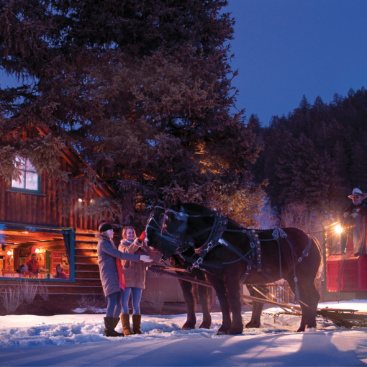 TC_Cabin__Winter_Sleigh