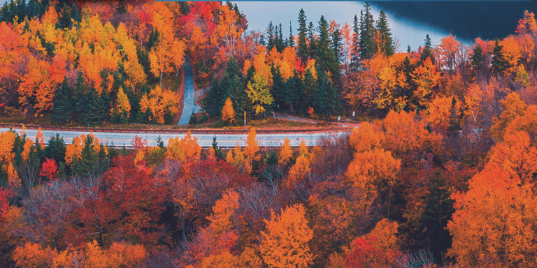 Thanksgiving travel forecast 11-2025