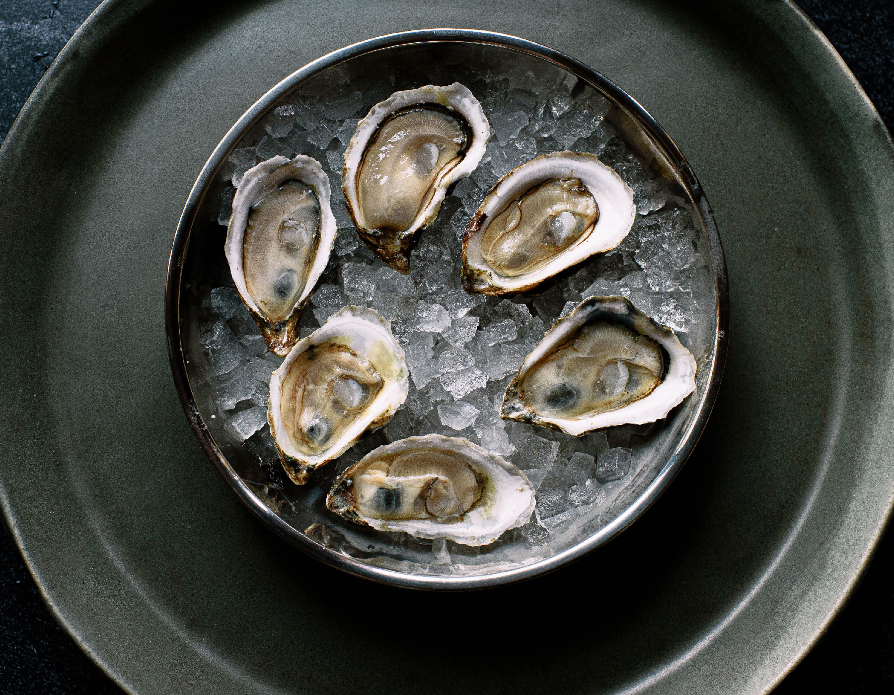 Oyster image_2_V2