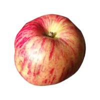 Gravenstein