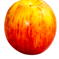 Jonathan-Apple